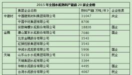 國進(jìn)民退 造就國企水泥龍頭