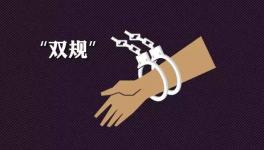 涉嫌違規(guī)審批湘發(fā)改委官員被查 曾染指東安紅獅批建