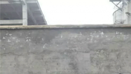 無法無天！紅獅水泥暴力阻撓取證