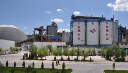 金隅冀東姜德義：打造京津冀水泥價(jià)值高地