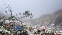 垃圾分類從鼓勵到強制 “中國式”垃圾處理