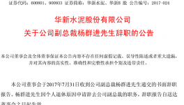 華新水泥副總裁楊群進(jìn)辭職 曾任拉法基瑞安中國區(qū)CFO