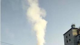 政府辟謠：這家水泥廠冒的是“氣”不是“煙”