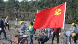 寧波海螺水泥公司黨員突擊隊(duì) “造綠色廠區(qū)，建美麗企業(yè)”