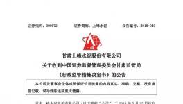 上峰水泥生產(chǎn)副總等四人被公安局立案并采取刑事強(qiáng)制措施