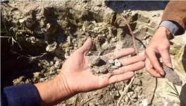 水泥一捏就碎 可知道捏碎的是老百姓的心血