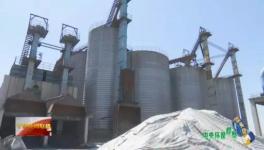 這家企業(yè)污染嚴重卻打著環(huán)?！按笃臁鄙a水泥