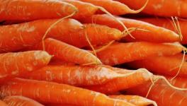 混凝土抗壓強度不夠？加點胡蘿卜！