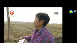 該地區(qū)農(nóng)田整治被揭搞豆腐渣工程，混凝土一捏粉粉碎！