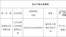 蘭州市貢馬水泥有限責任公司水泥熟料產能出讓的公示