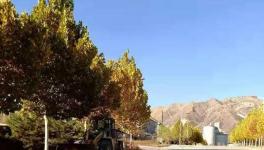 這家官司纏身的水泥企業(yè)或已被中聯(lián)水泥接手！