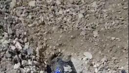 大貨車闖紅燈側(cè)翻!小車瞬間被埋!致3人死亡！