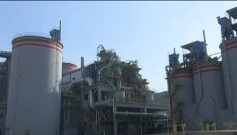 零污染 零排放的水泥廠！您見過嗎？