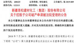 法院已受理這家水泥上市公司下屬企業(yè)的破產(chǎn)申請