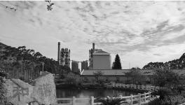 這一地區(qū)水泥龍頭企業(yè)華潤、海螺等喜獲佳績