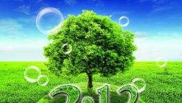 這家公司組織廣大青年參加植樹(shù)活動(dòng)