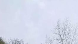 這家水泥廠破壞青山、污染環(huán)境何時(shí)休？