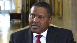 瘋狂！這個地區(qū)大搞建設！水泥賣到2000多元/噸！