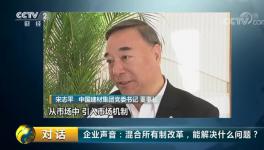 央視對(duì)話：宋志平再談混合所有制改革