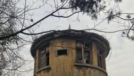 江南水泥廠被指保護(hù)不力，回應(yīng)稱原因復(fù)雜