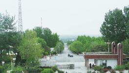 綠色生態(tài)，打造水泥廠最美四月天！