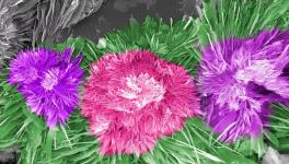 水泥的另外一種美！您見過嗎？