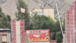 村民舉報：已關(guān)停許久的水泥廠又開始生產(chǎn)，粉塵污染嚴重