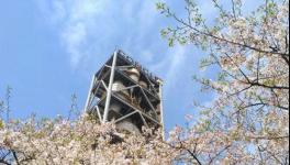 海螺水泥這么強(qiáng)大！答案在這里……