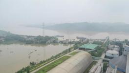 7人死亡9人失蹤！多省緊急發(fā)文！800多家水泥廠出貨量暴跌！