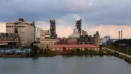 拉動(dòng)經(jīng)濟(jì)！解決就業(yè)！印尼各級(jí)政府高度贊賞海螺水泥！