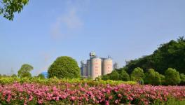 打造美麗礦區(qū)！叫響華新水平綠色品牌！