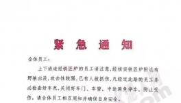 狼來(lái)了！這家水泥廠已有員工被抓傷！