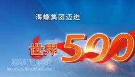 海螺集團邁進世界500強引起熱烈反響！