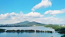 緊急通知！8月15日起推動部分水泥企業(yè)退出！9月起實施階段性停產(chǎn)！