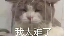 國慶節(jié)的催款心聲，讓數(shù)萬水泥人不再沉默！