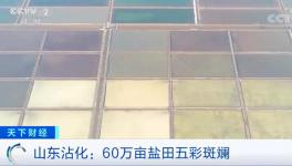 1噸海水超千元！廢料還能造水泥！