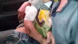 突發(fā)！血肉模糊！混凝土攪拌機(jī)把人活活攪死！