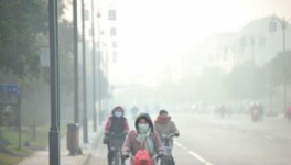 水泥停產(chǎn)！工地放假！物流停運！“春運”提前來了！