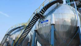 小水泥廠“逆襲”成世界五百?gòu)?qiáng)！這家水泥企業(yè)是如何做到的！