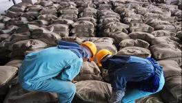 大事！砌筑32.5、P.P、P.F、P.S.A 32.5水泥全部取消！這個(gè)省動(dòng)真格！