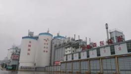 強手如林中拔得頭籌！這家水泥企業(yè)年利潤超3億元！