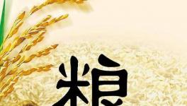 全球糧食市場異動，每個人都要提前應(yīng)對了！