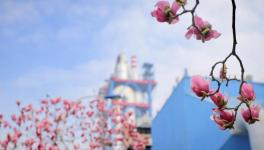 春色滿廠區(qū)，花園水泥廠來了??！