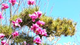 復工復產進行時：詩韻畫卷里的洛陽中聯(lián)！