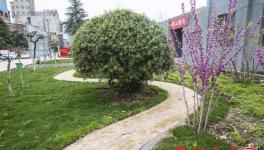 豫南水泥有限公司轉(zhuǎn)型發(fā)展紀(jì)實(shí)