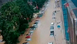 立即撤離！15個(gè)省市緊急預(yù)警！水泥價(jià)格集體下跌！