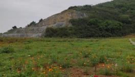 這家水泥企業(yè)喜獲2800萬噸石灰?guī)r礦采礦權(quán)！