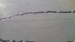 發(fā)明！自我修復(fù)混凝土，房子200年不裂！