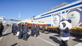 強強聯(lián)合共建海上建材運輸高速通道