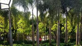 最干凈的百人智能工廠無人值守物流系統(tǒng)曝光!